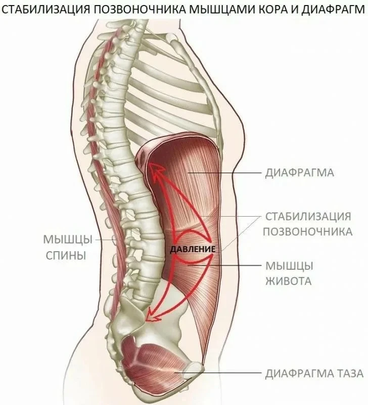 «С декабря чувствую постоянную боль в шее и зажим между лопатками, который не дает нормально сделать