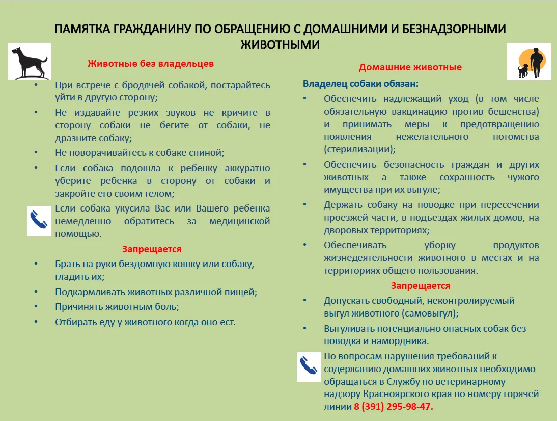 Ответственное отношение к домашним и безнадзорным животным важно для безопасности и благополучия все