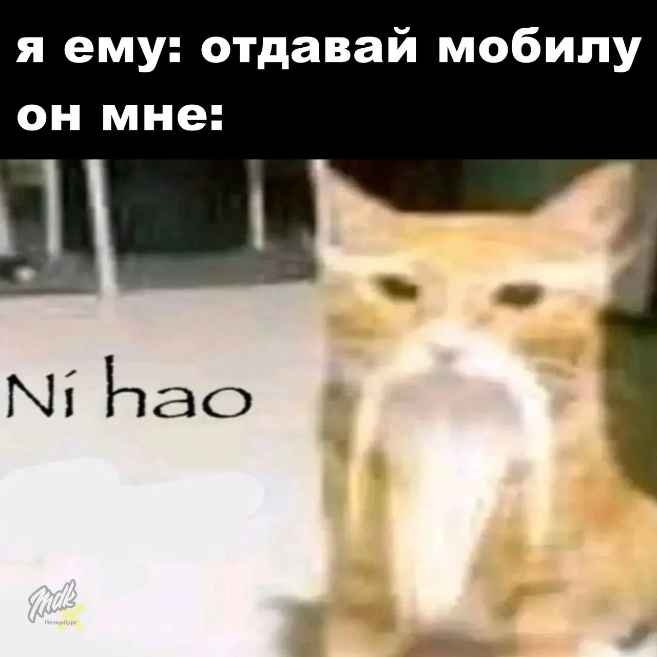 Так и познакомились