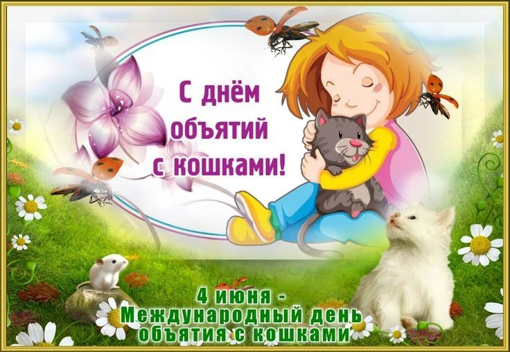 4 июня - День объятий с кошками