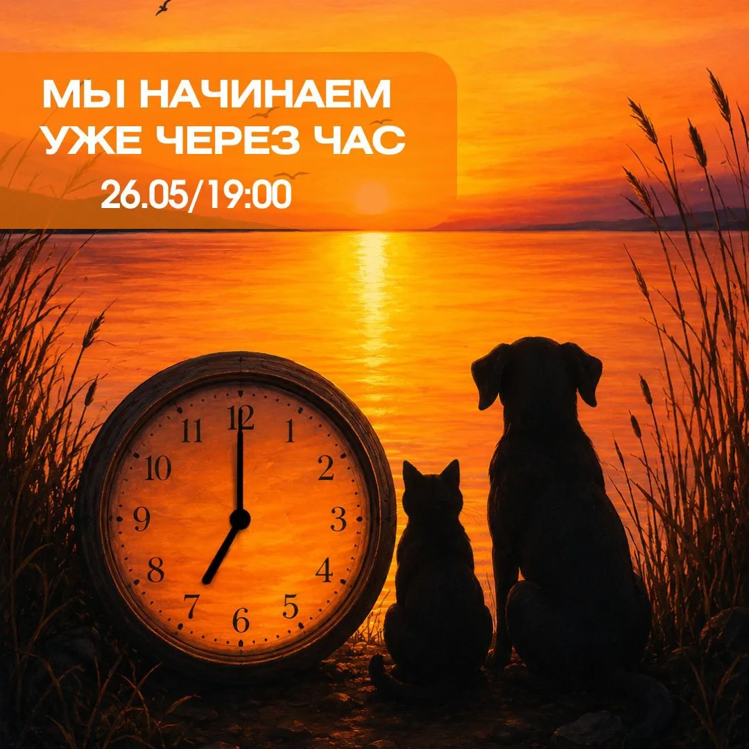 ПРАЗДНИЧНЫЕ МАСТЕР-КЛАССЫ УЖЕ ЧЕРЕЗ ЧАС🎈  Первый вечер в рамках открытой Майской Ярмарки Рисования с