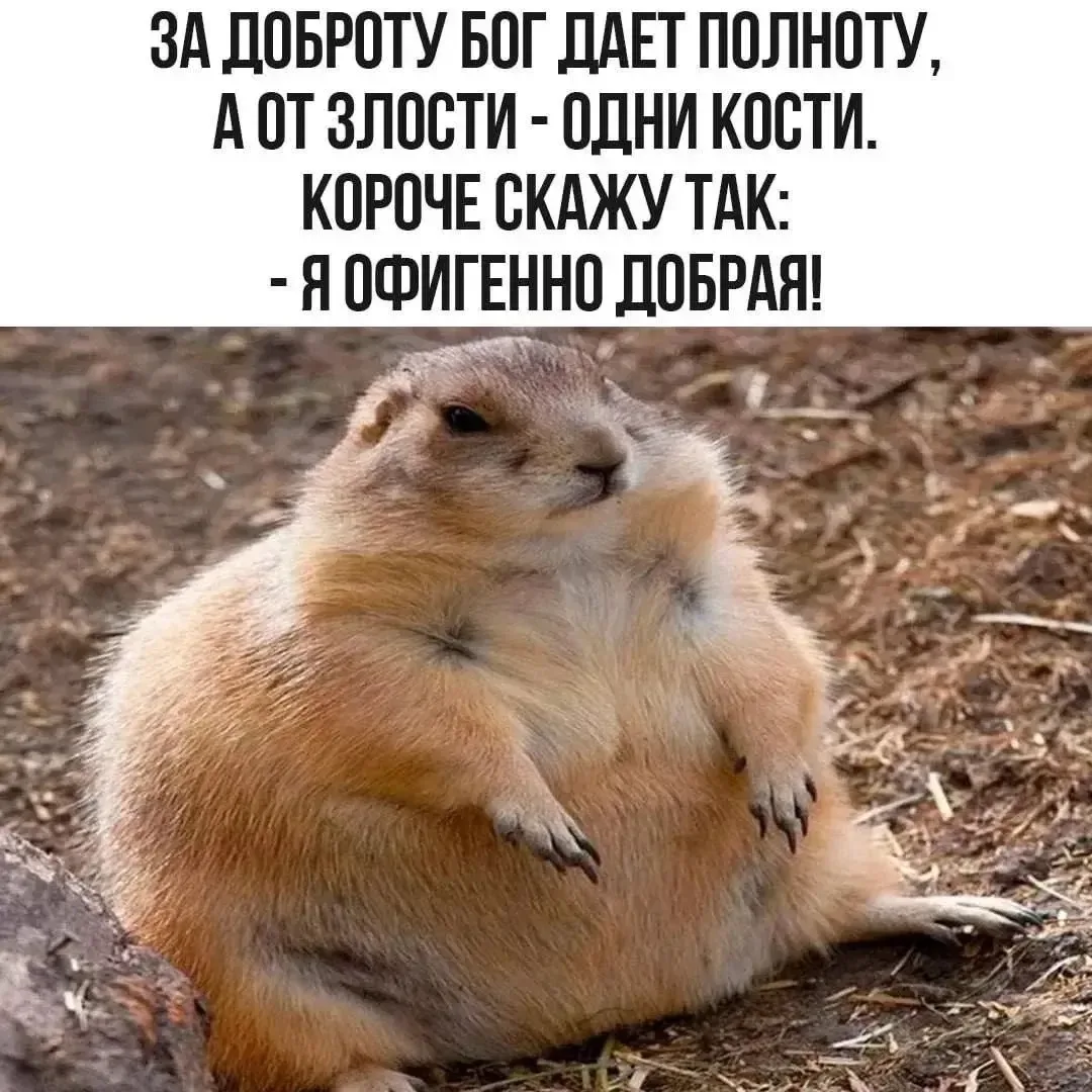 👍👍😁😁