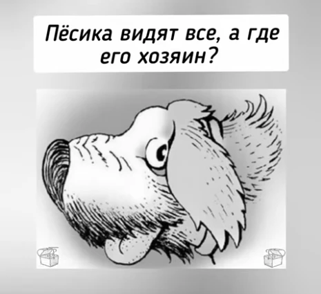 Нашли хозяина кота?