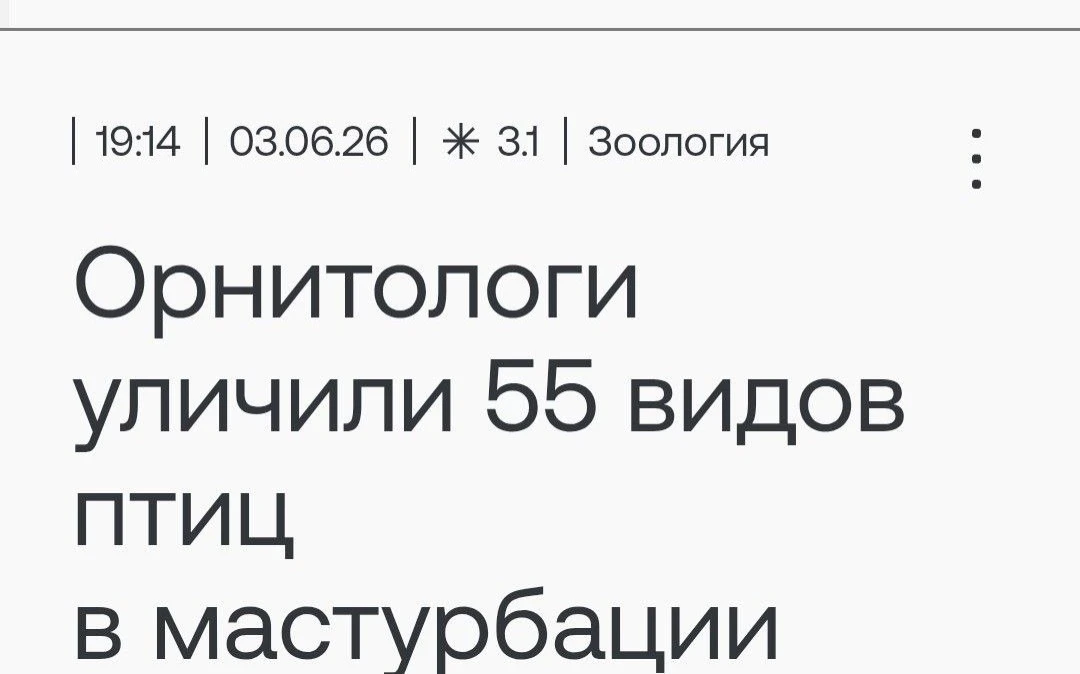 Попались!!