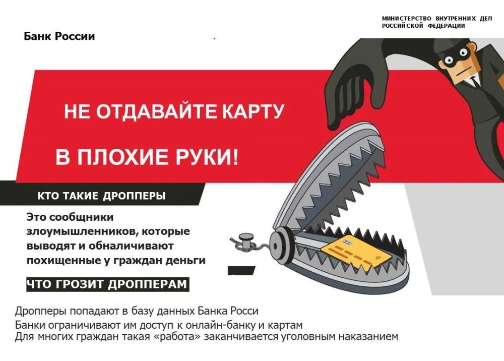 Как не стать дроппером и избежать наказания: полное руководство

В современном мире, где онлайн-моше