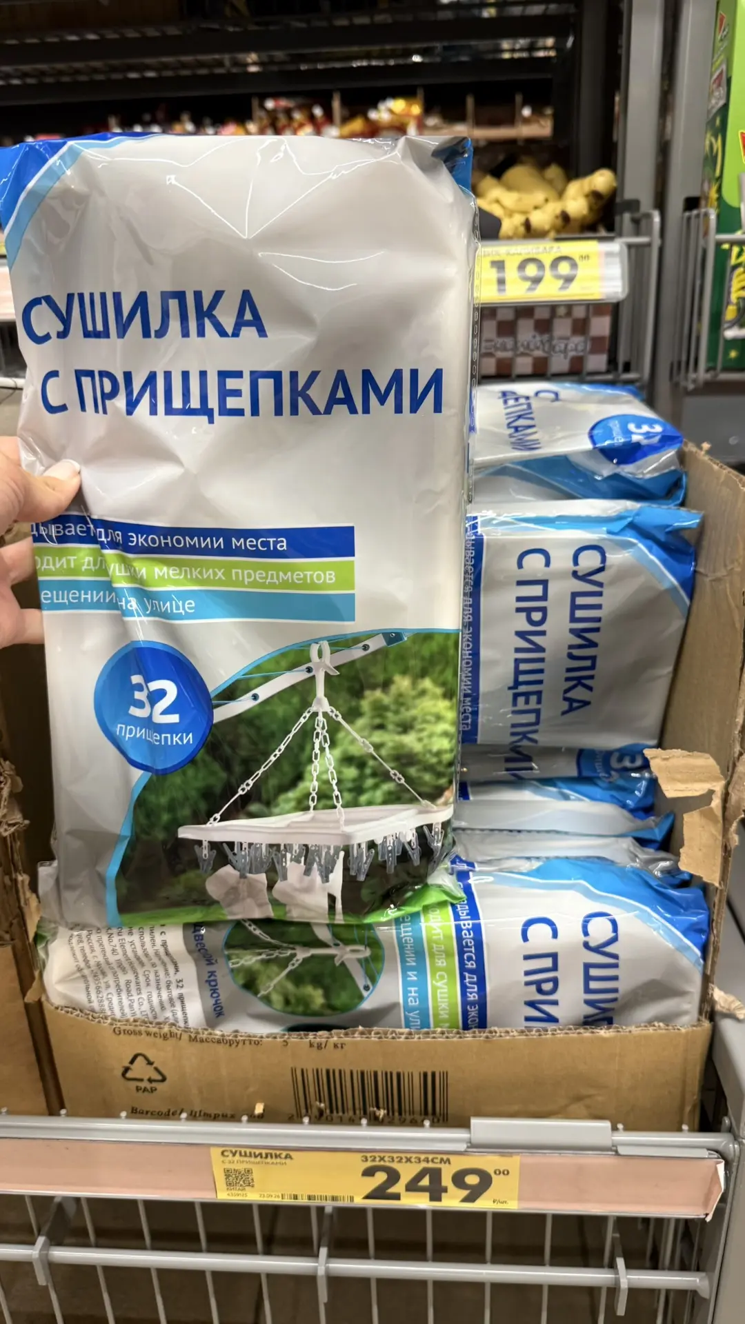Чижик