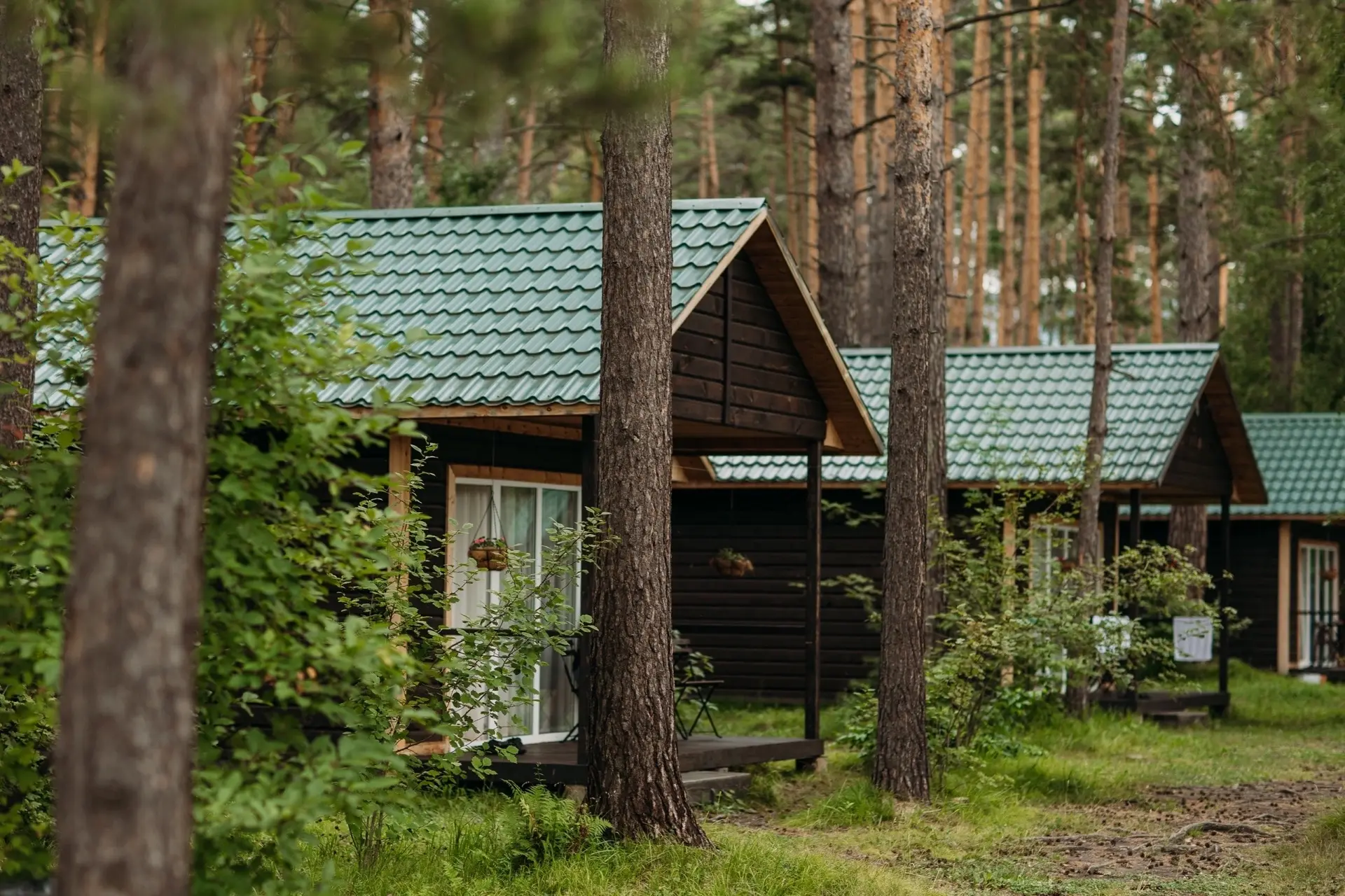 Спланируйте свой осенний отдых уже сейчас🌿