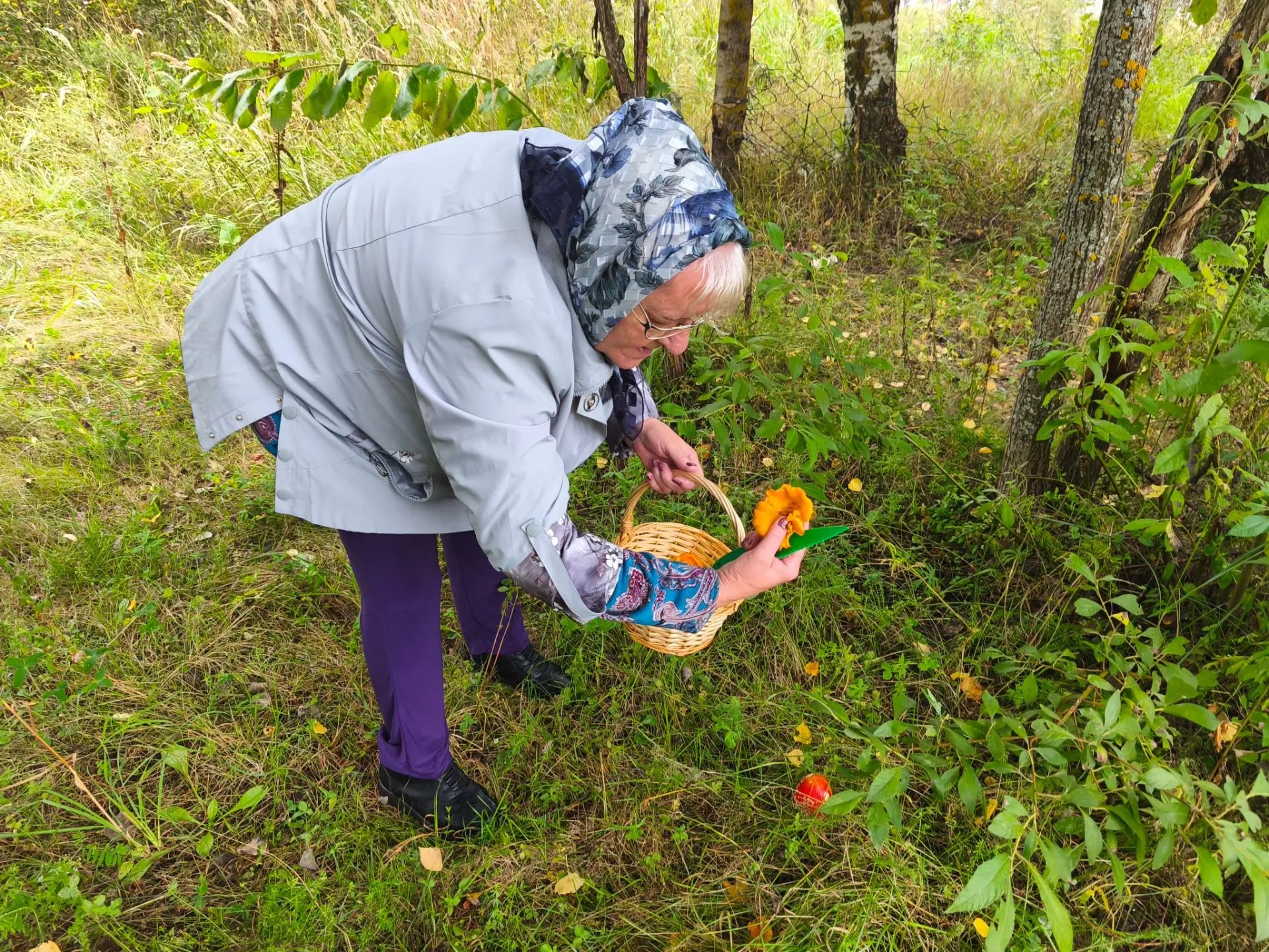 За грибами - как за молодостью.🍄🧺
