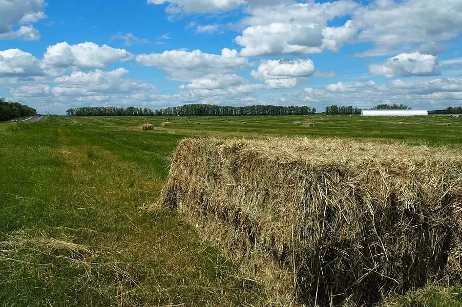 Башкирия: заготовлено более 500 тыс. тонн сена