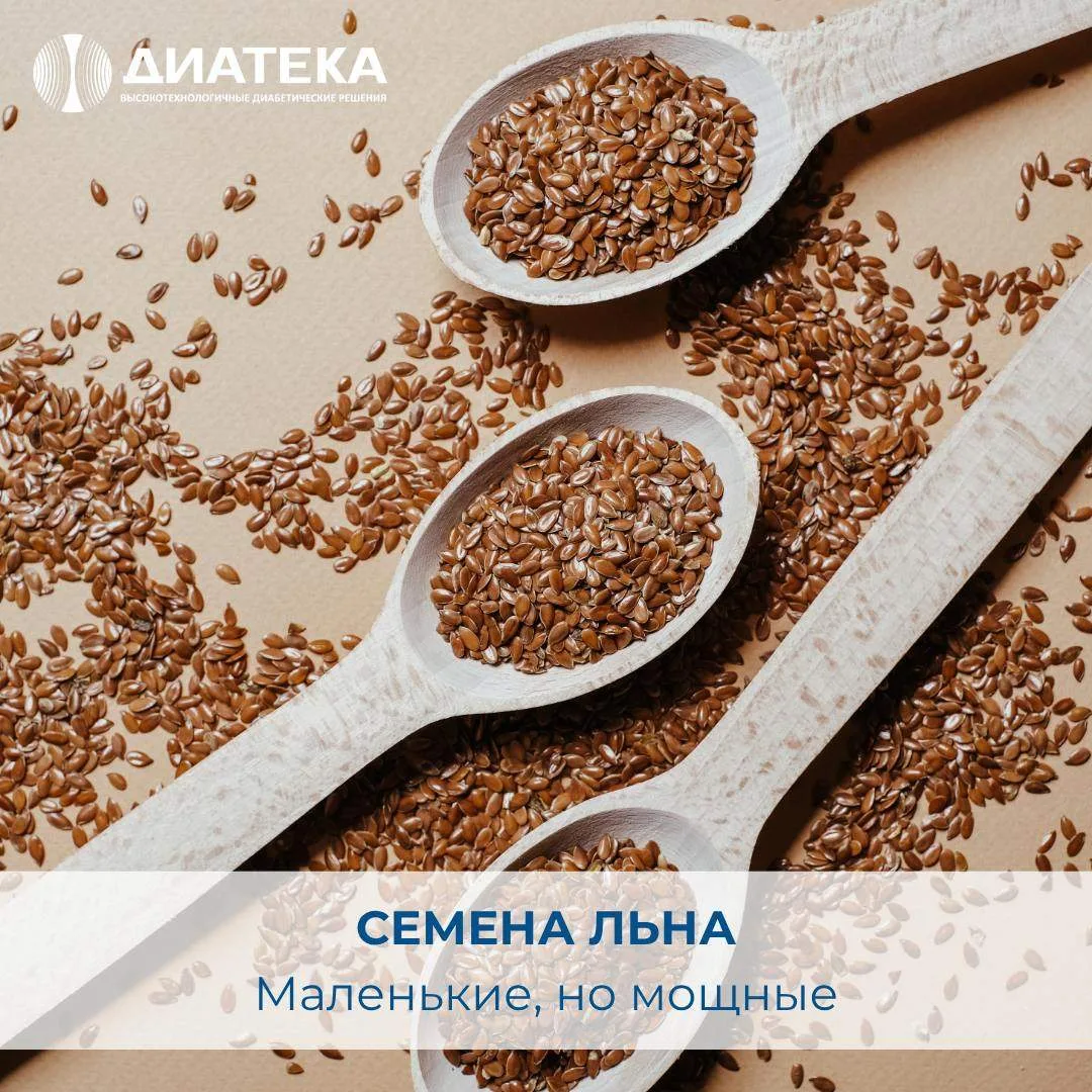 CЕМЕНА ЛЬНА: МАЛЕНЬКИЕ, НО МОЩНЫЕ 🌱