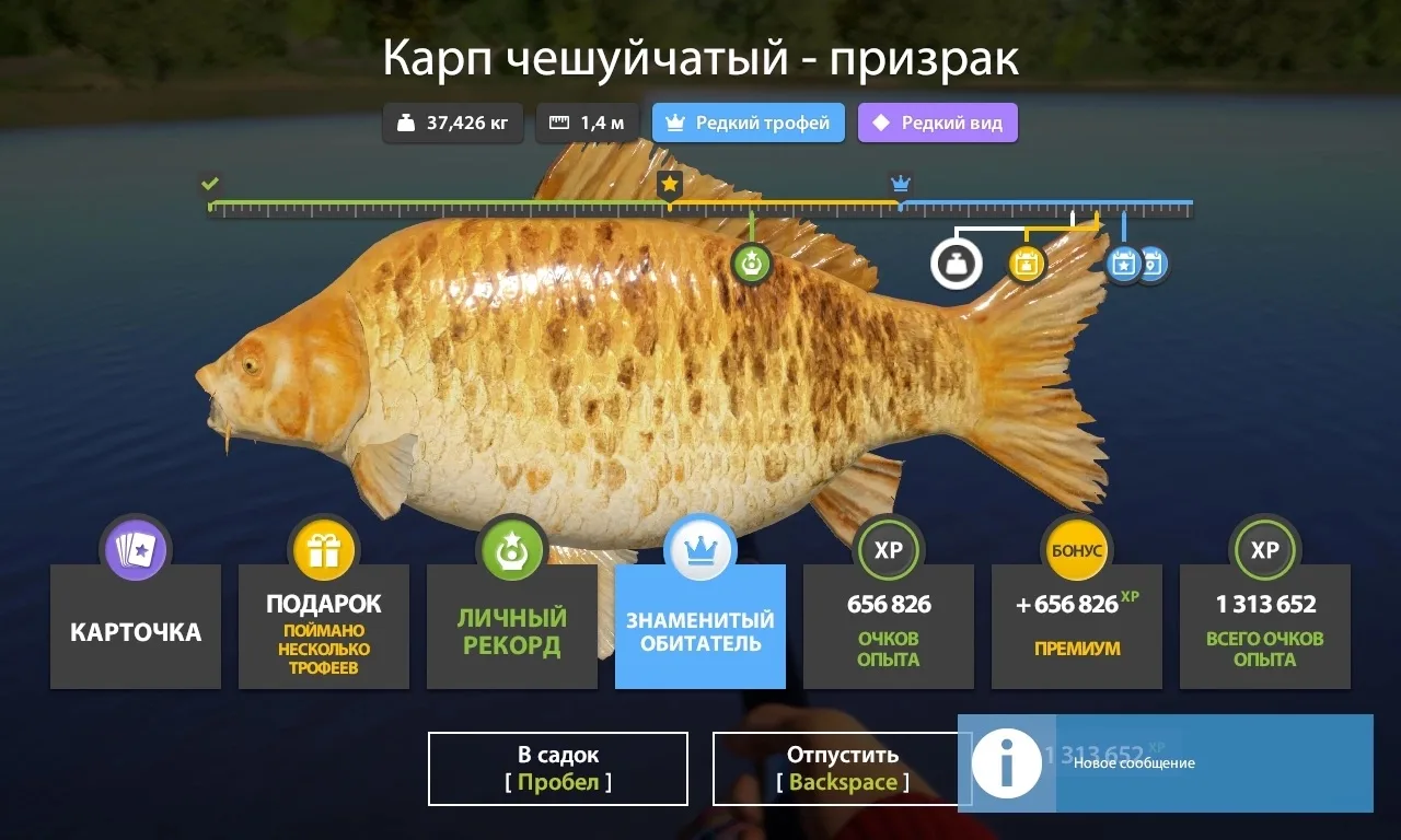#янтарное@pp4wikipedia