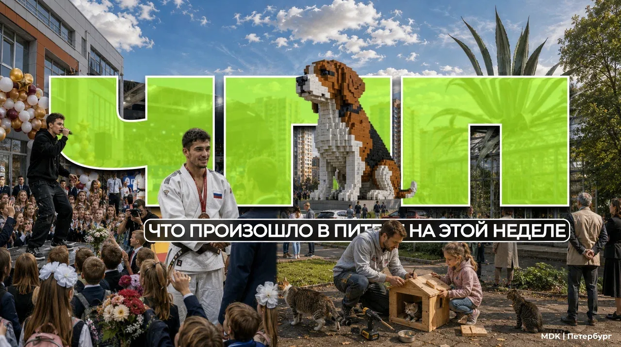 ⚡️Для тех, кто всё пропустил