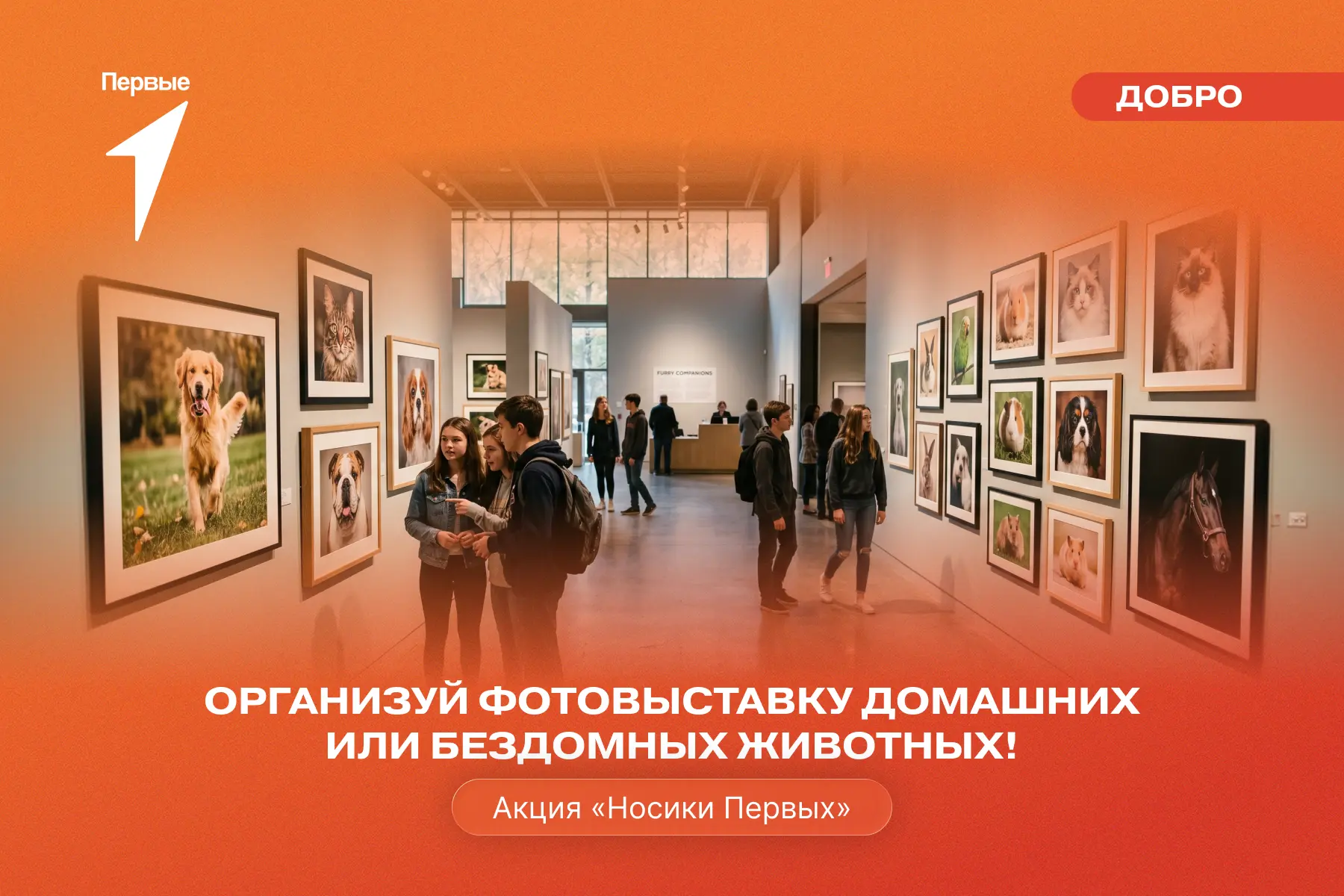 🐶 «Гав-гав гав», «мяу-мяу мяяяяу» 

Так тебя будут благодарить животные, которым ты поможешь на акц