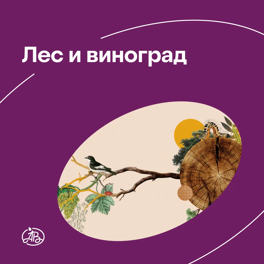 Идею этого поста нам навеяла летняя листва 🌱