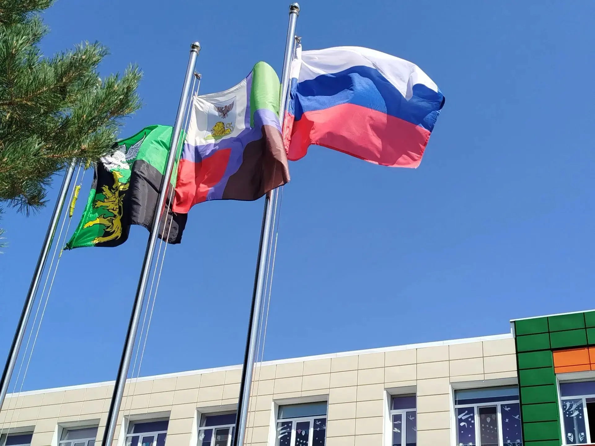 Сегодня, 22 августа, мы отмечаем День Государственного флага Российской Федерации. Трик...