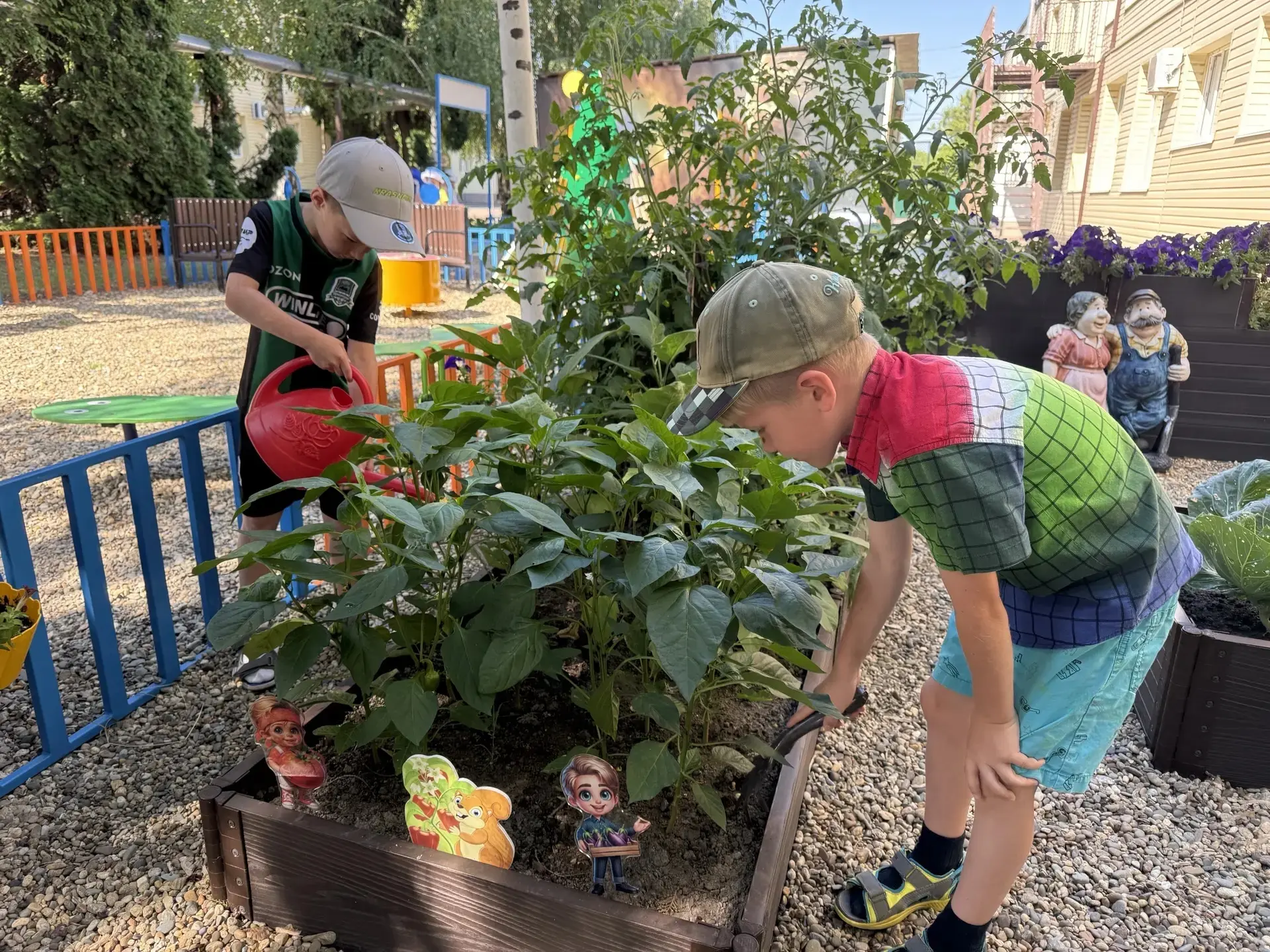 🌱 На территории нашего детского сада есть уютный огород! Ребята из старших групп с большим удовольс