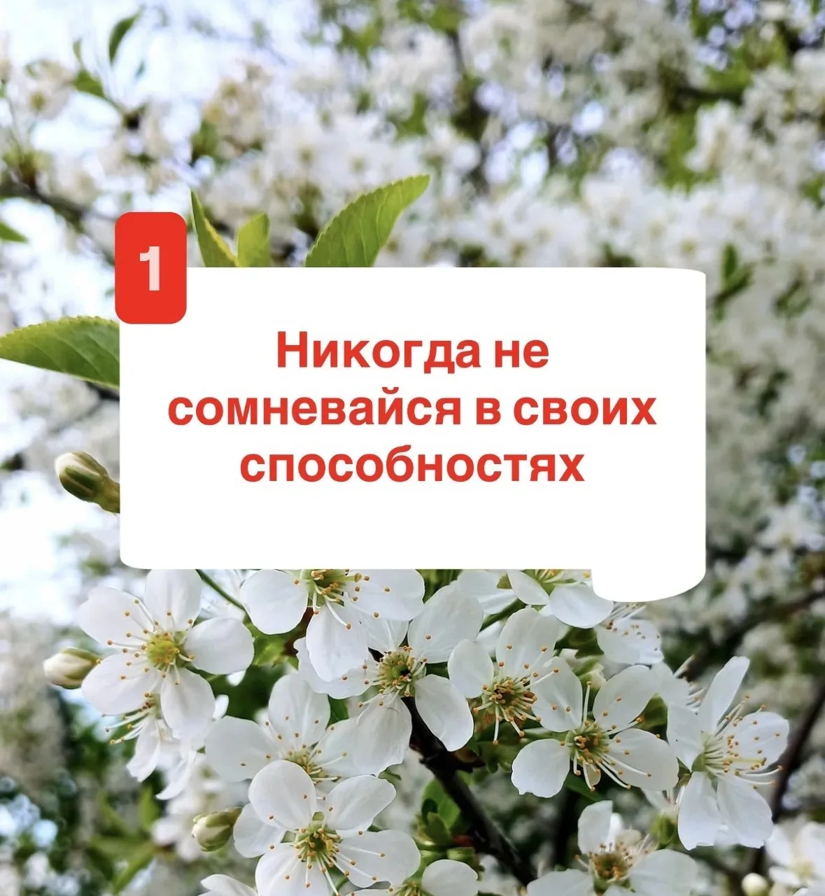 Друзья, приветствую 🤗