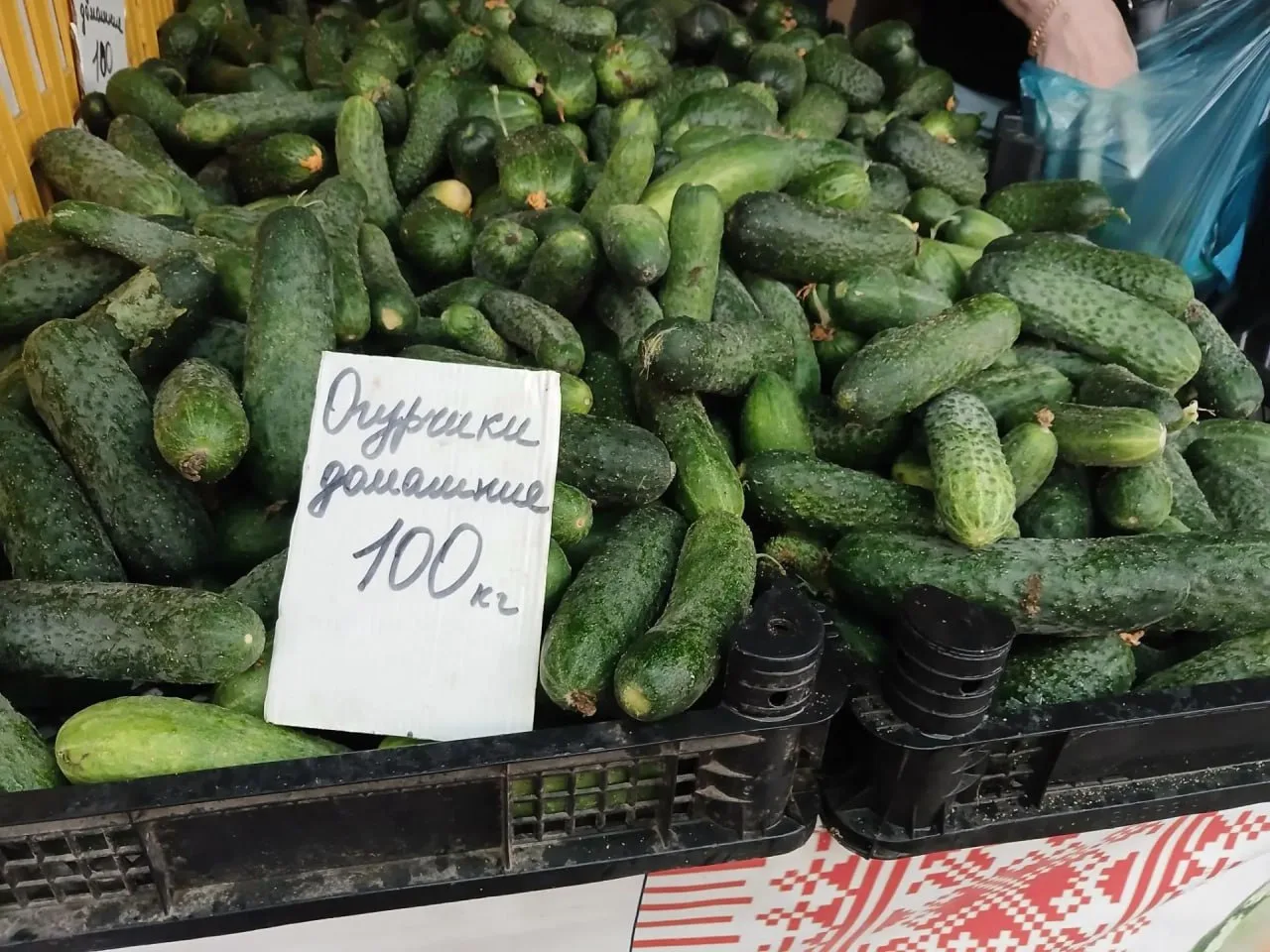 🥬 Средние цены на овощи и фрукты 25 июля на Фермерском рынке (пр. Солдатских матерей)