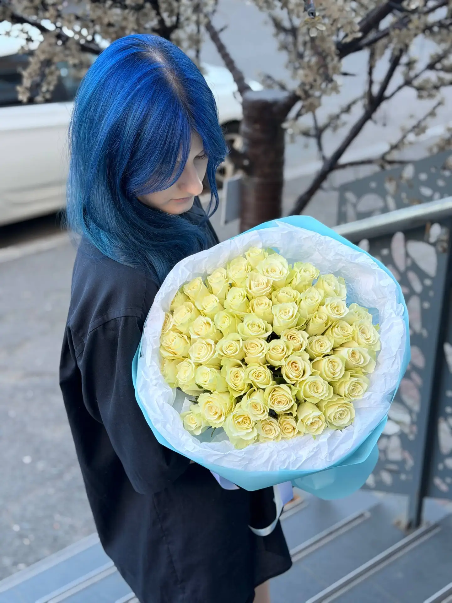Снова они — наши любимые 51 роза 🌹