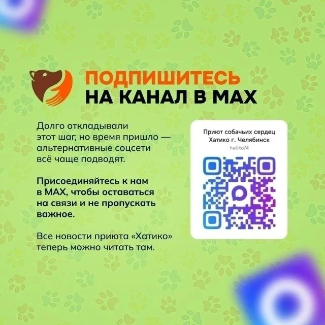 Присоединяйтесь к нам на новой платформе Max!