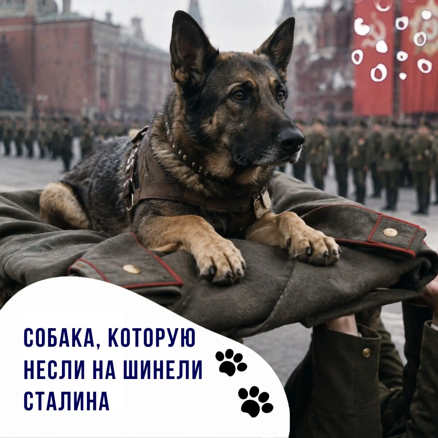 Во время Великой Отечественной войны рядом с людьми служили настоящие герои. И один из ...