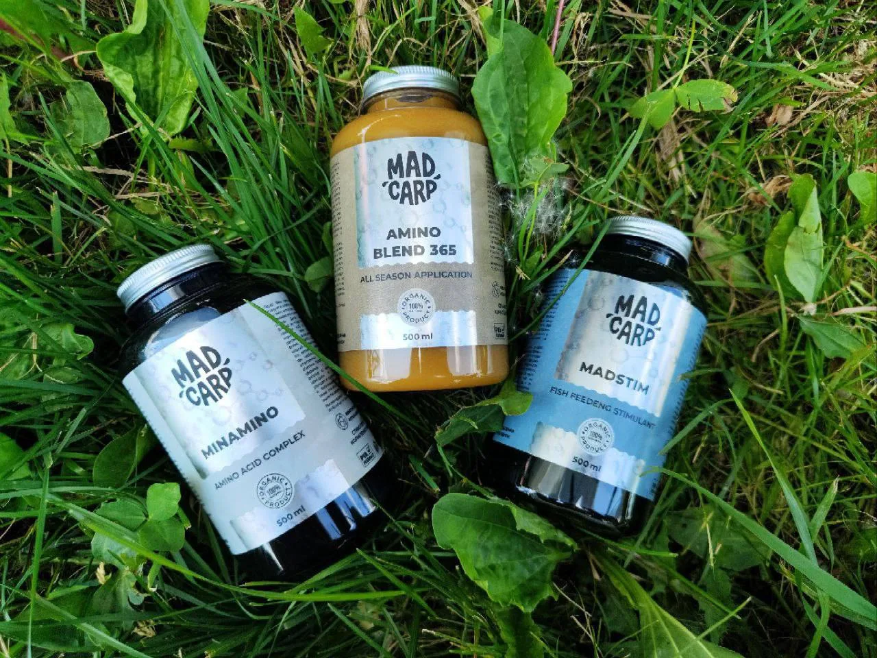 ❓ Аминокоплексы Mad Carp: Minamino, MadStim и Aminoblend 365. Для каких программ подход...