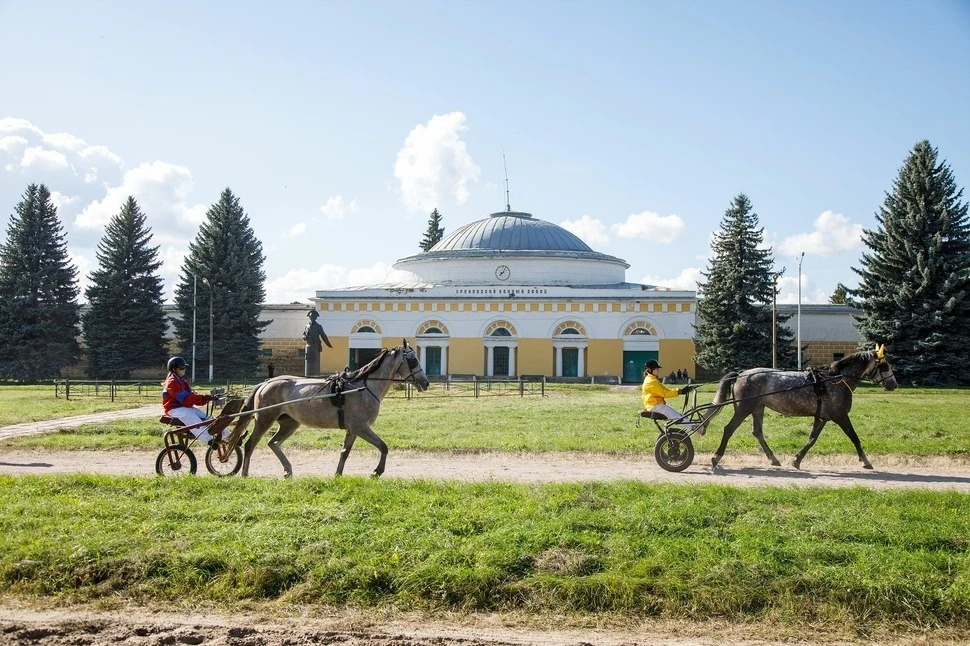 В Воронежской области отметили 250-летие Хреновского конного завода и орловской породы