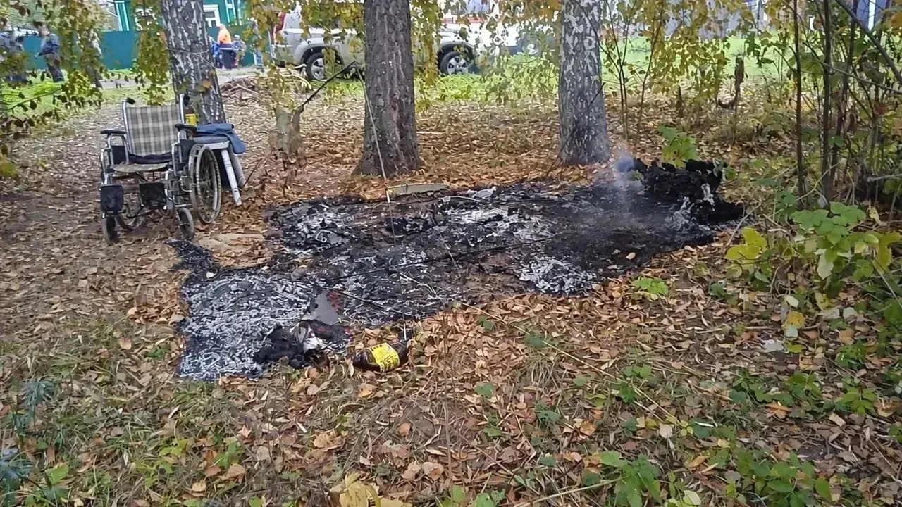 😱 Турист сгорел в собственной палатке на берегу Даудовского пруда в Подмосковье.