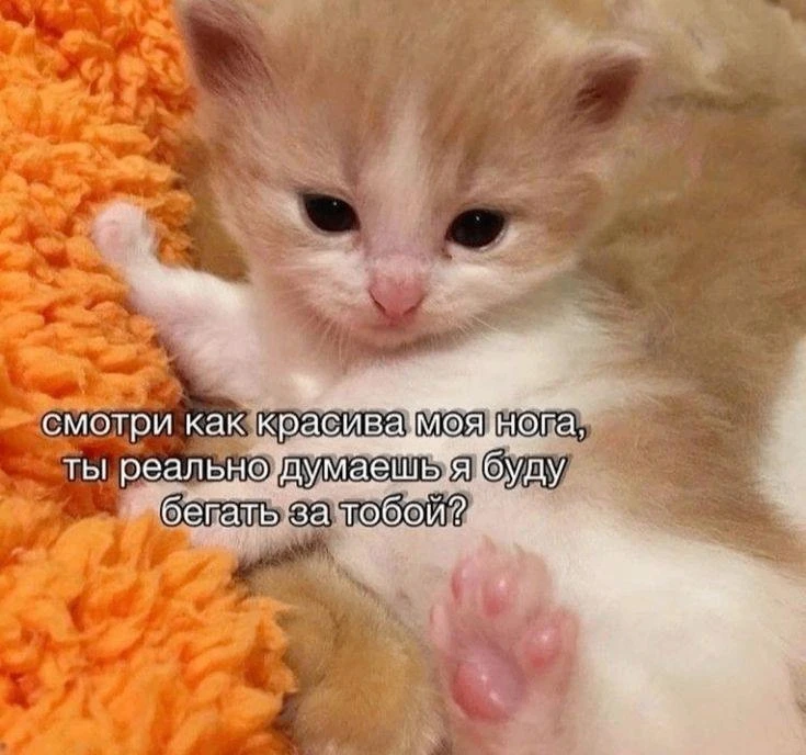 😁😁