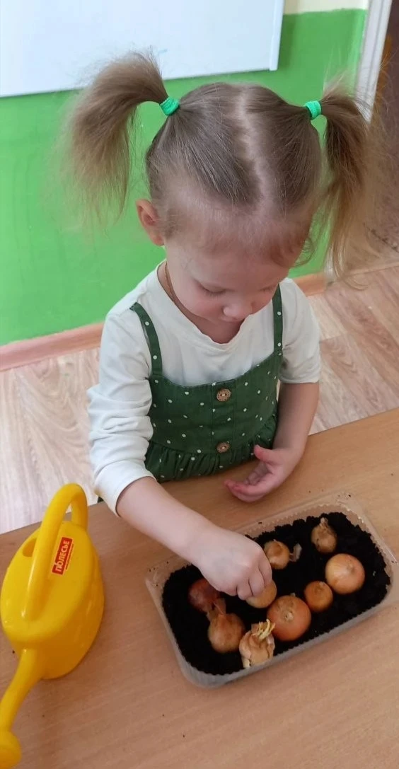 Весна стучится в окно, солнышко светит всё ярче, а нам так захотелось зелени и витамино...