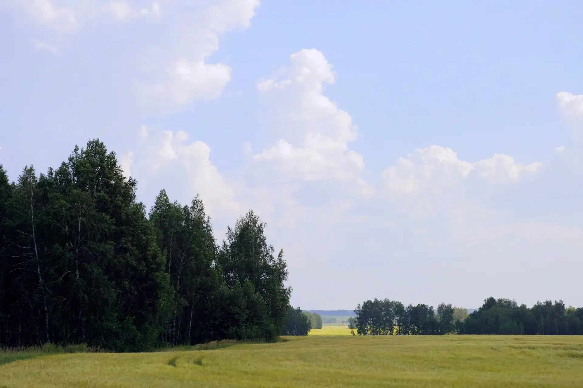 В Курганской области фотограф Николай Пушилин запечатлел природные пейзажи региона. На ...