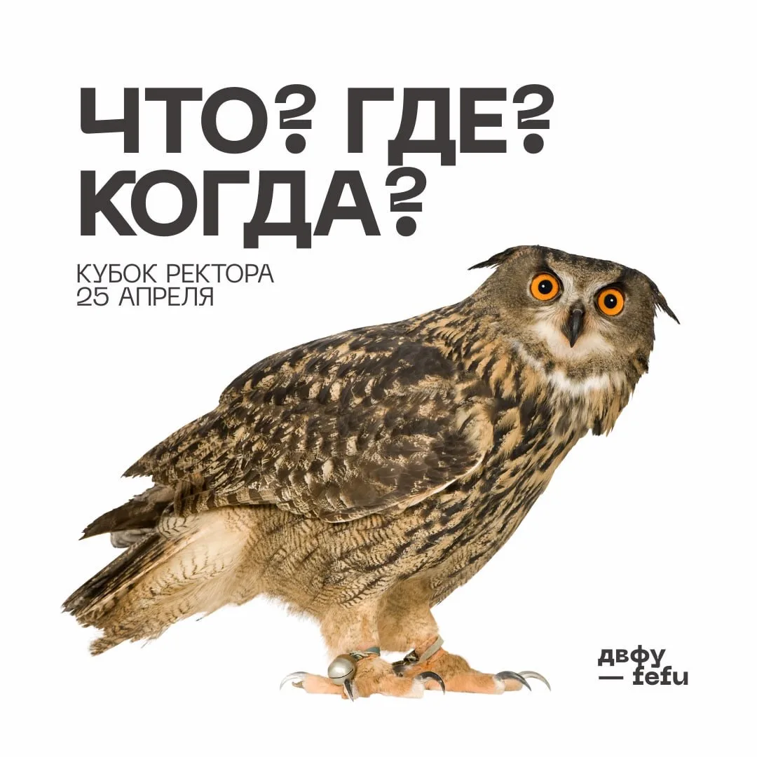 🏆 VI Кубок Ректора ДВФУ — «Что? Где? Когда?»
