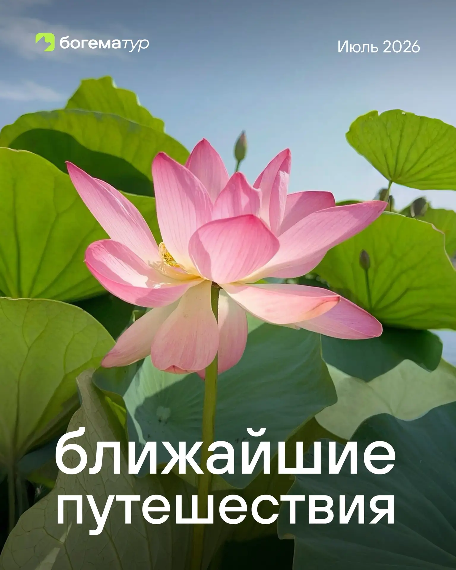 Июль обещает быть насыщенным ✨

Собрали для вас ближайшие туры: горы, море, красивые локации и новые