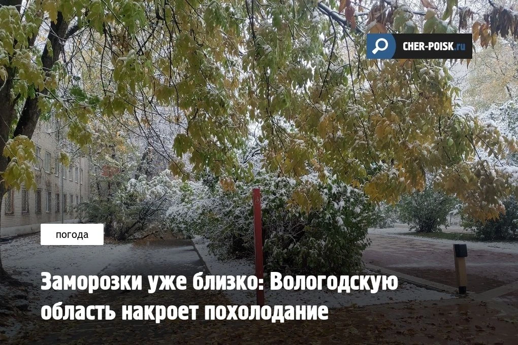 Теплая погода, которая установилась в Вологодской области в конце сентября, скоро закон...