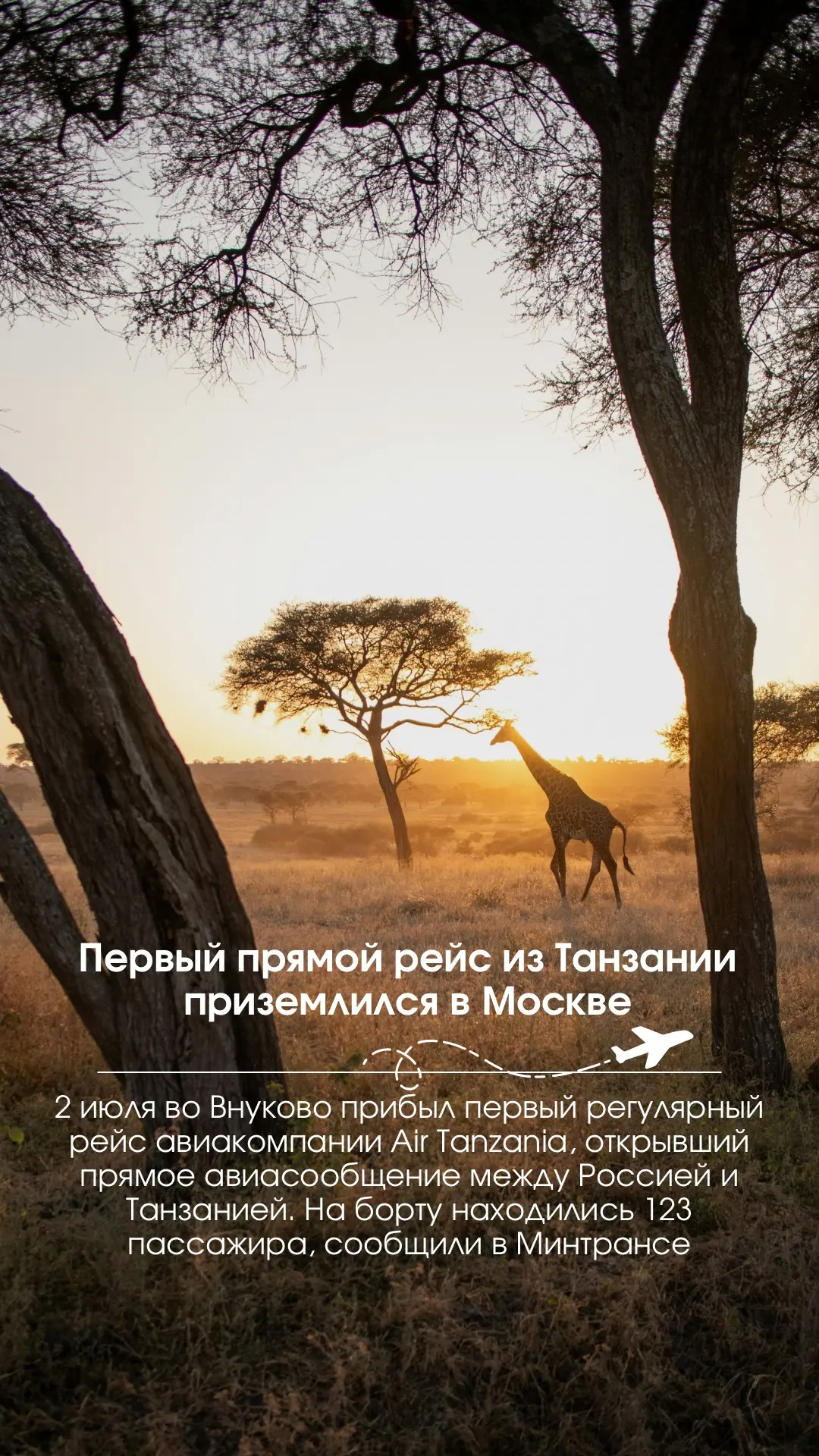 🐆Первый прямой рейс из Танзании приземлился в Москве