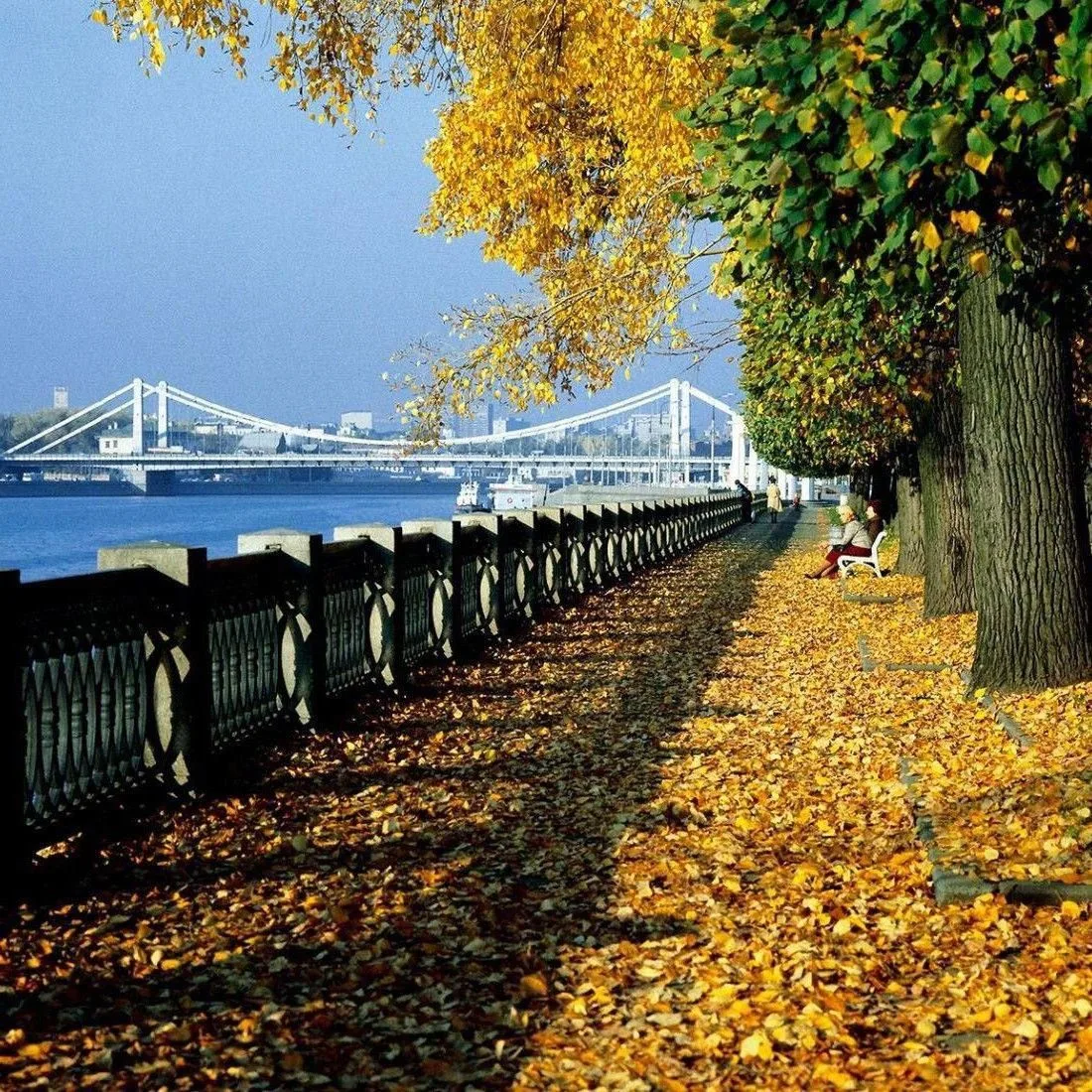 🍁 Осень в Москве, 1981 год
