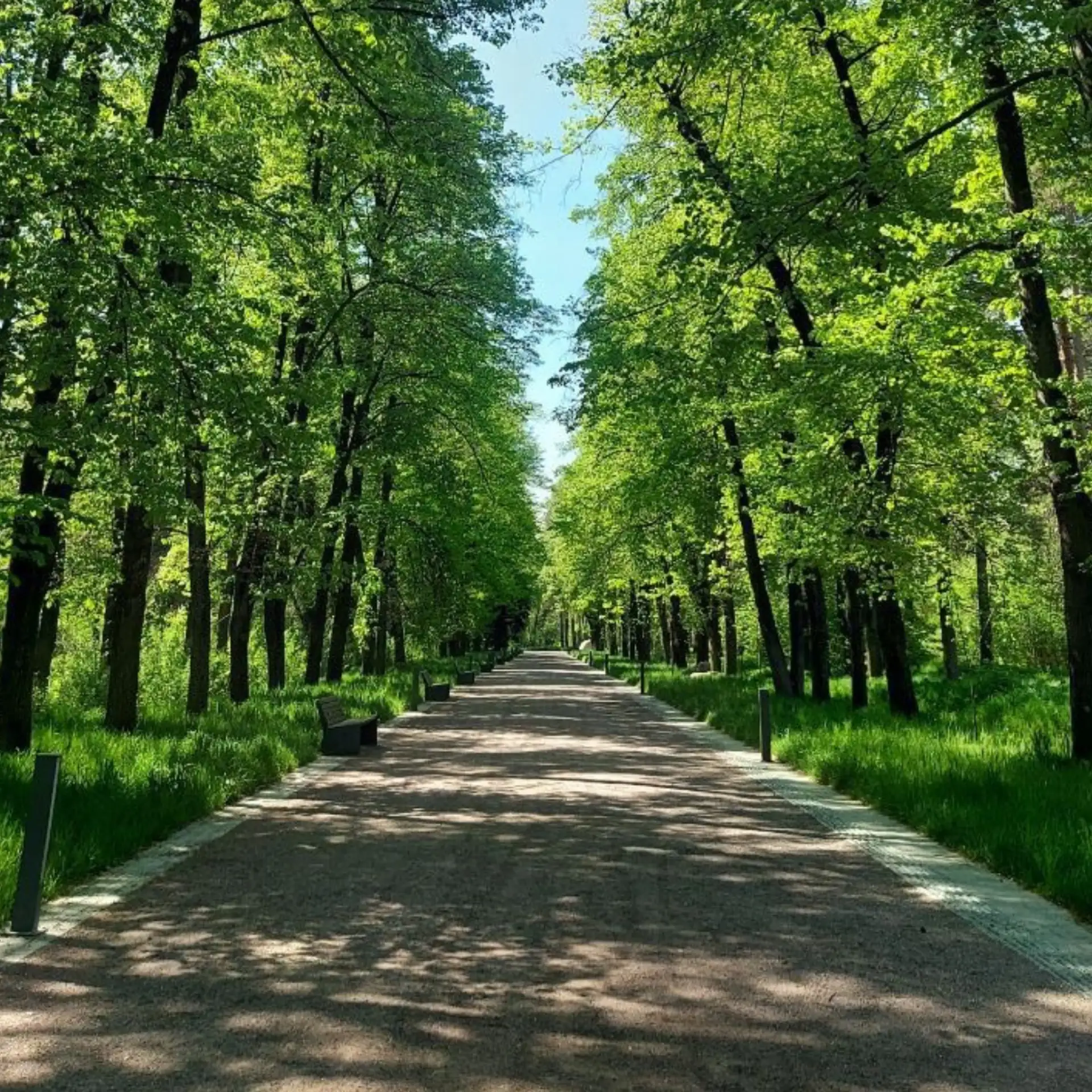 Сегодня меньше новостей, больше реальности. Реальный мир - это то, что перед твоими глазами, а не в 