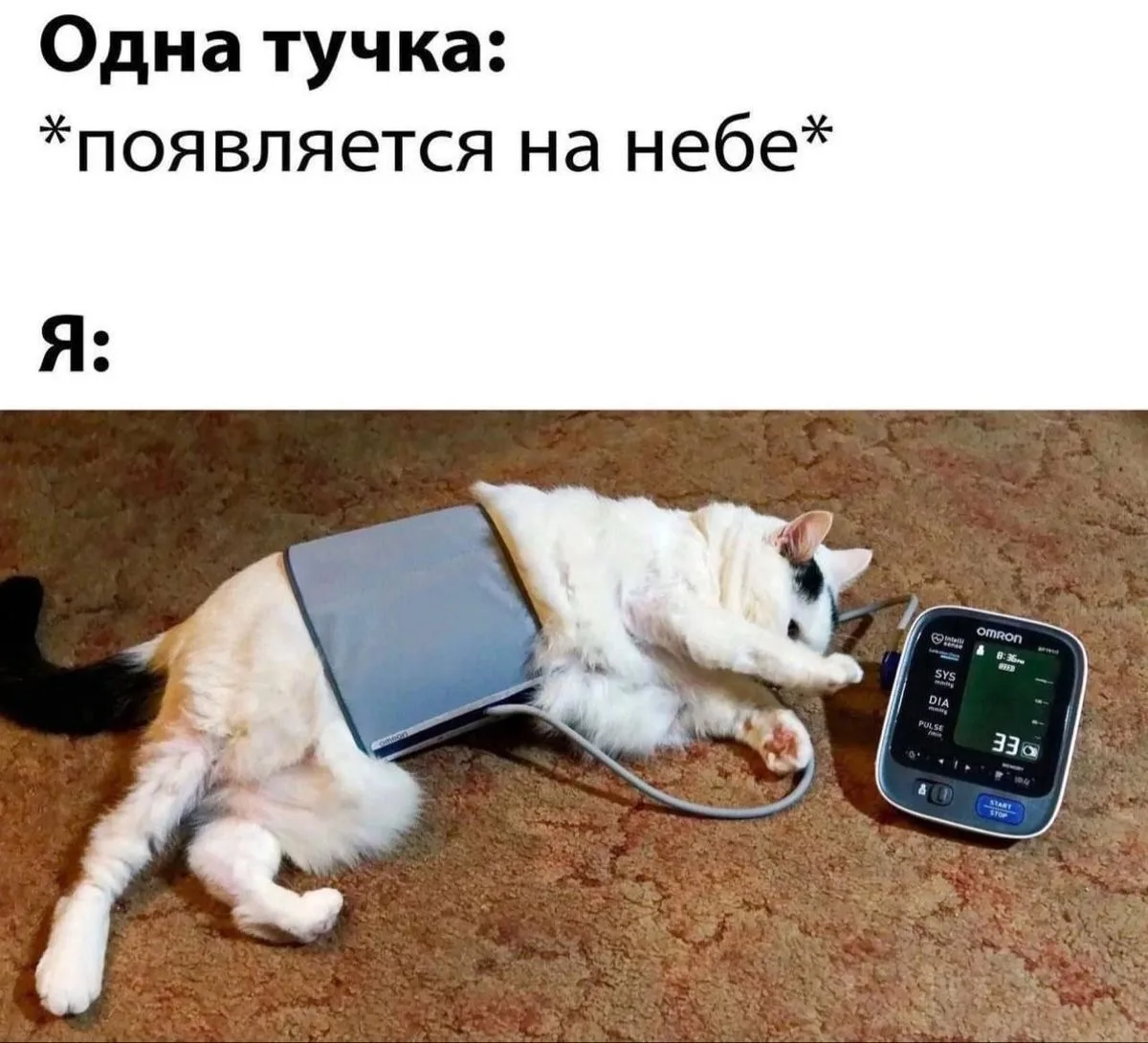 Привет всем погодозависимым! 😂