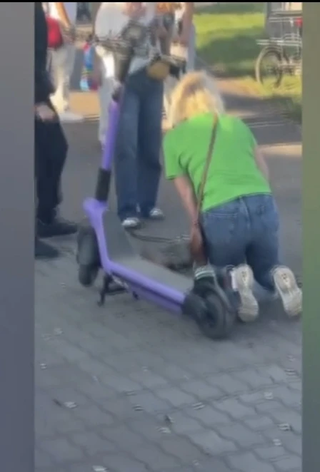В Красноярске самокатчик насмерть сбил собаку
