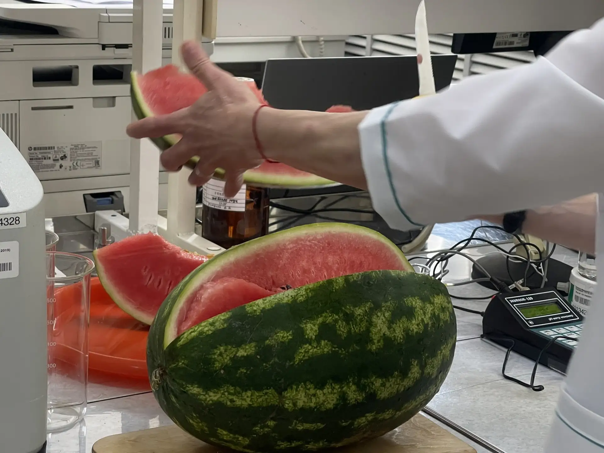 🍓🍉🫐 Эксперты предупредили о рисках покупки несезонных арбузов и дынь в мае  ✅ За окном весна, а на п
