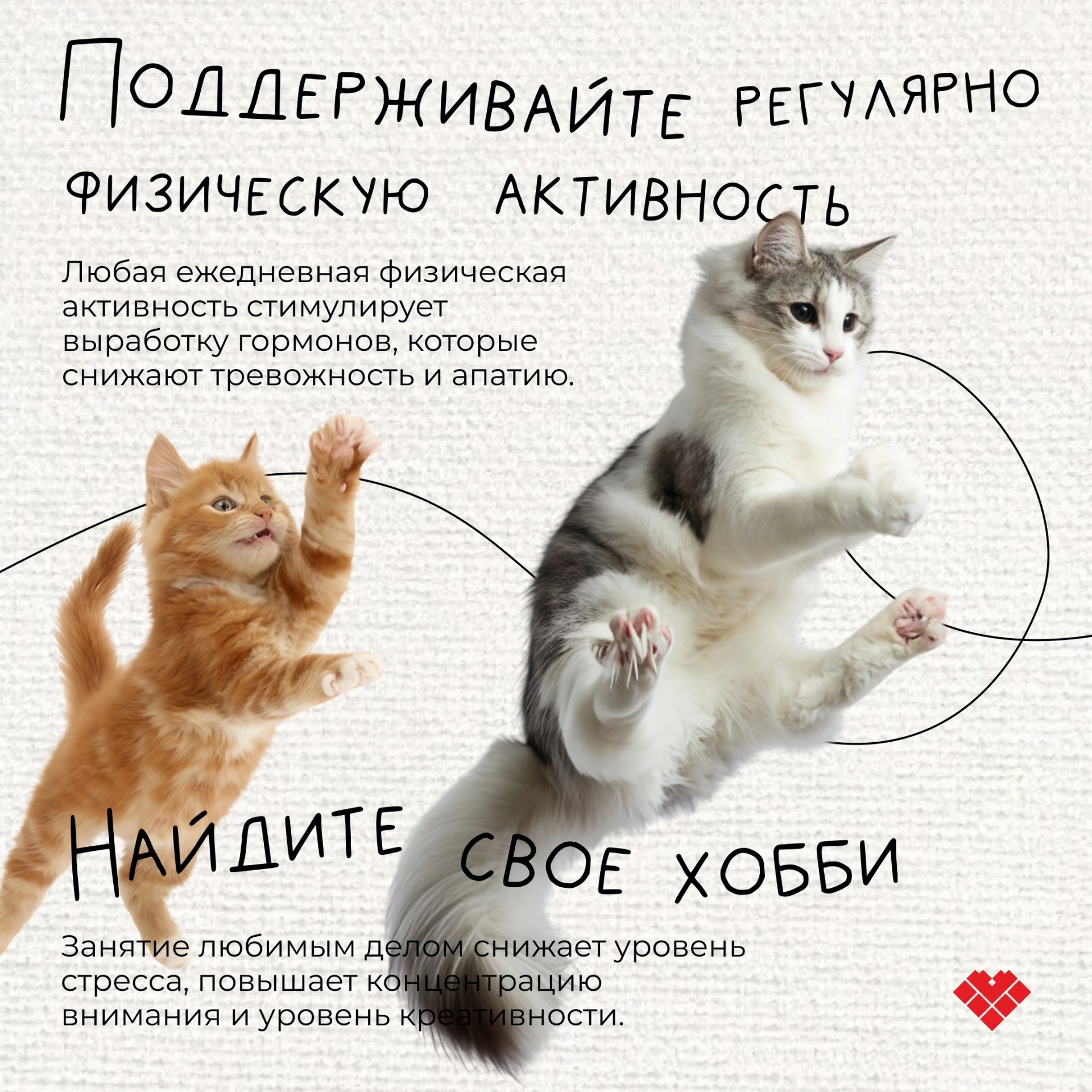 Берегите свое физическое и психическое здоровье