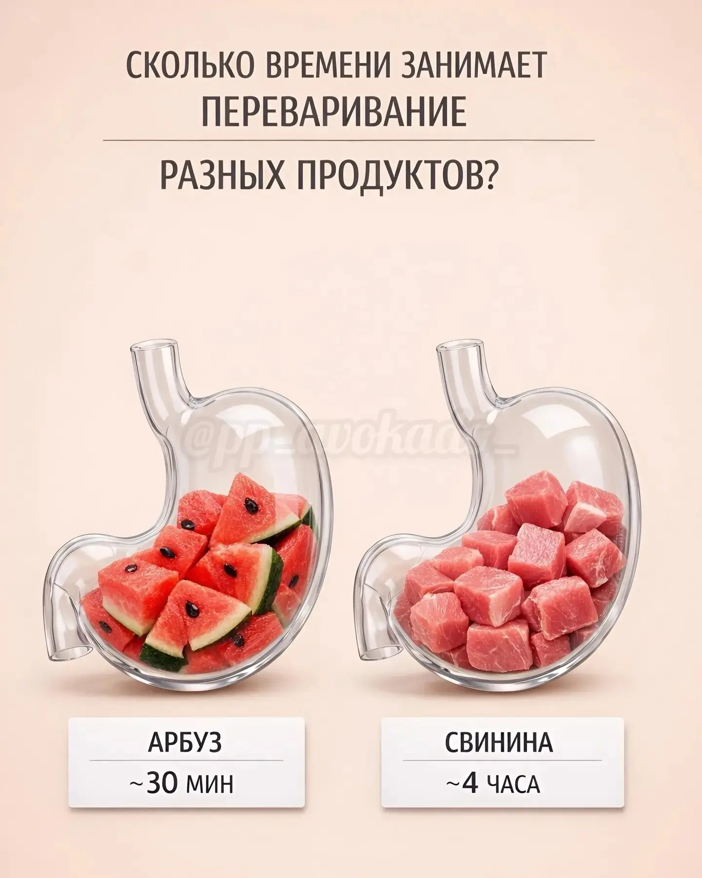 Сколько времени переваривается еда — и почему после одних блюд лёгкость, а после других...