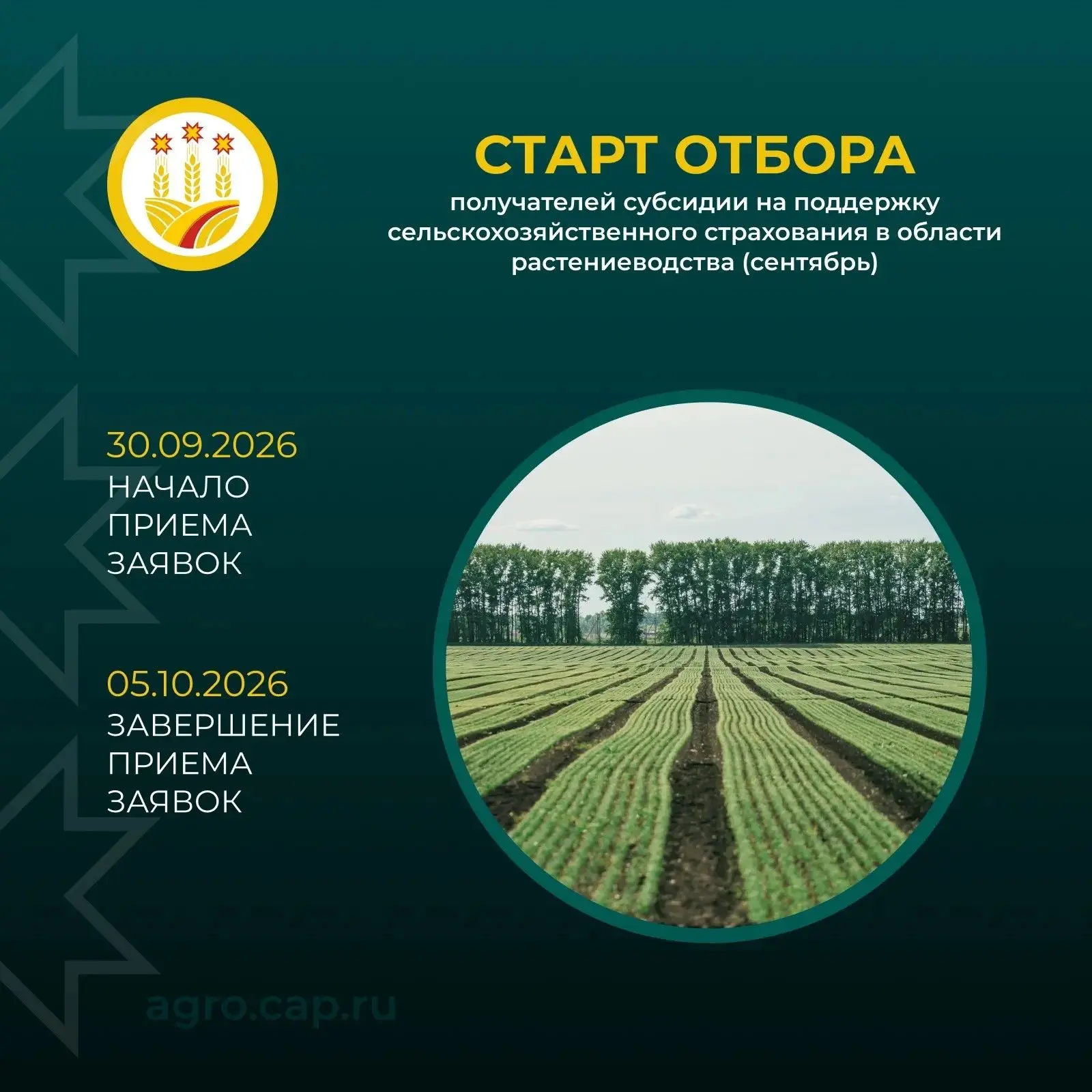 🌾 Урожай защищен — аграрий спокоен! Время страховать посевы и возвращать половину затрат.