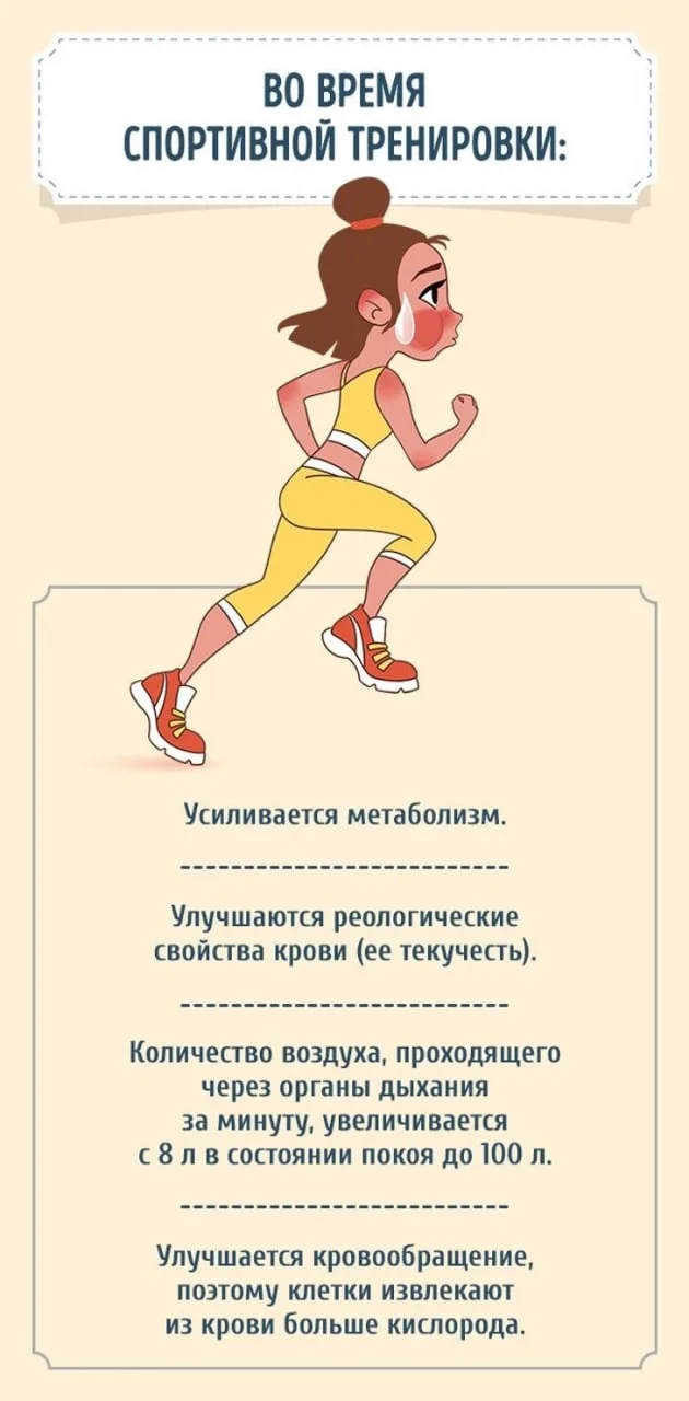 Что происходит с телом, если заниматься спортом 30 минут в день 📌