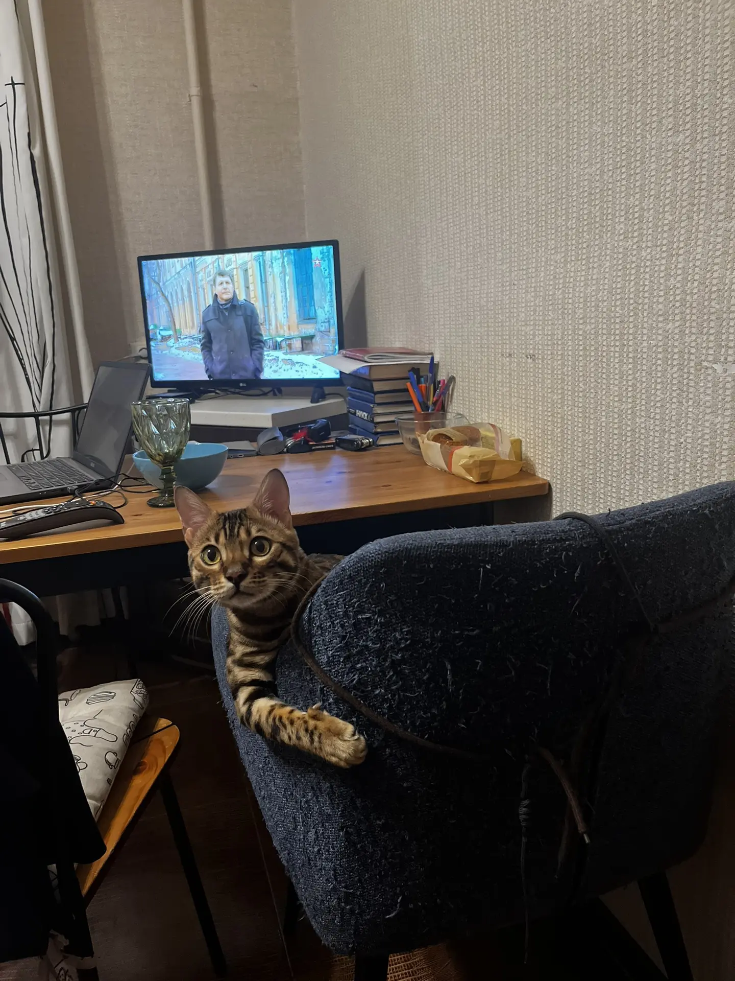 Пап, а там уже начался финал ЧМ по футболу?🤗