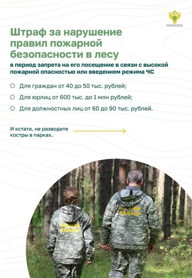 Памятка о правилах пожарной безопасности в лесу 
15 марта в России стартовала Федеральная информацио