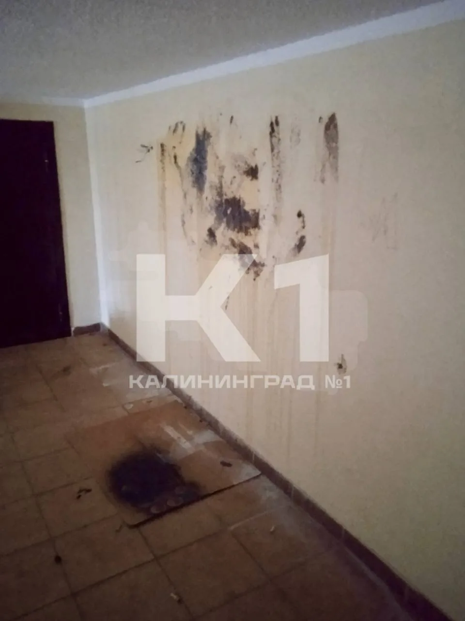 🤢 «Фекальные росписи» появились на стенах подъезда дома на Дзержинского.