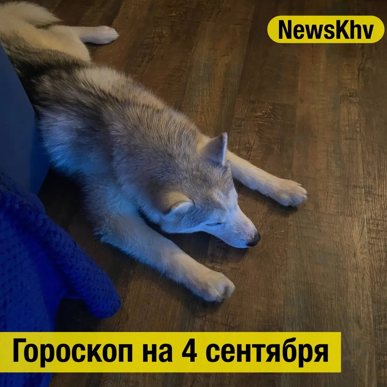 ♈ Овен