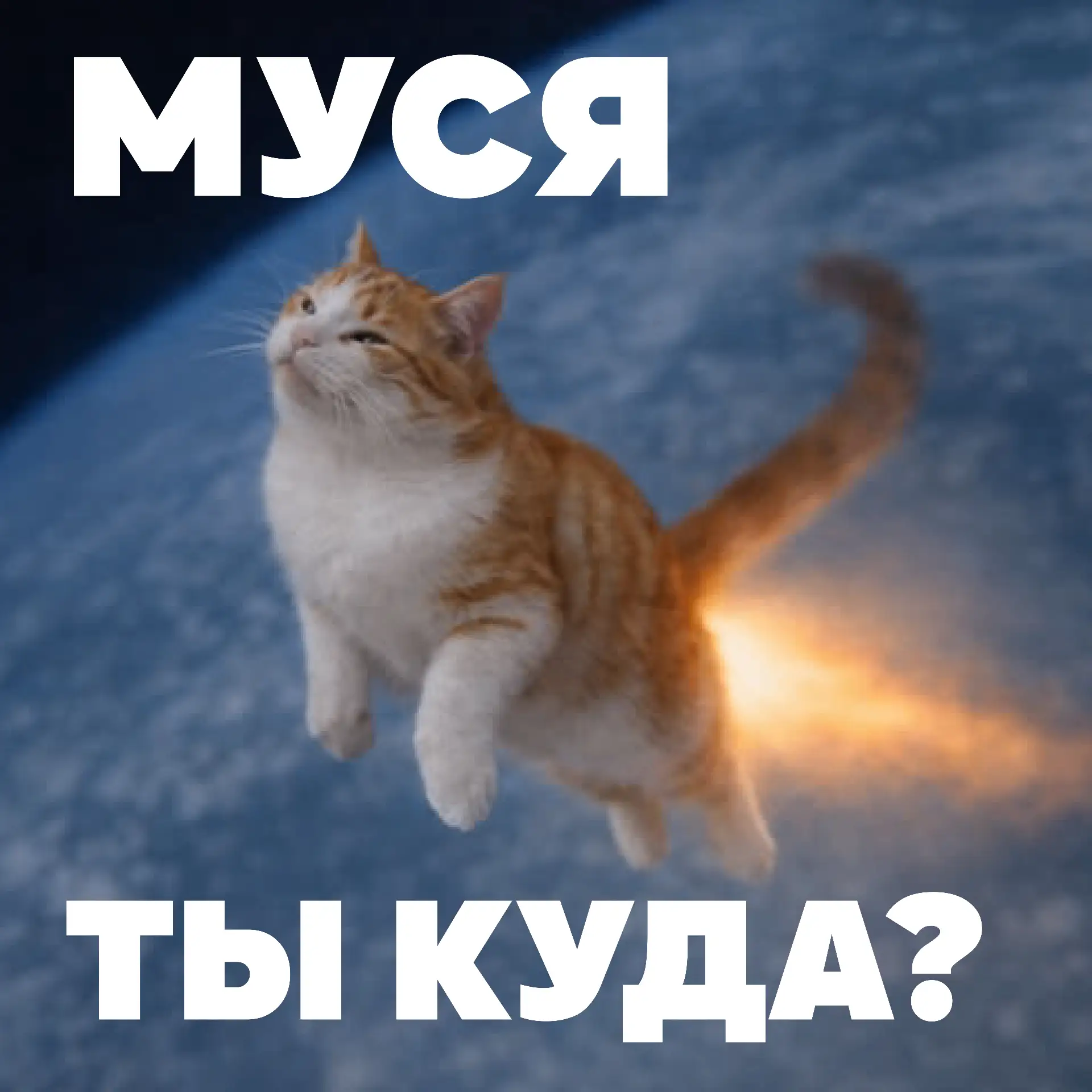 💥Приёмная комиссия уже позади, а значит, самое интересное совсем близко — скоро начина...