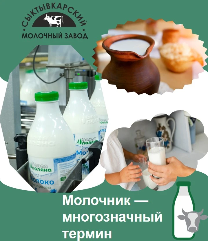 Молочник — слово с богатой историей, которое в современном языке объединяет абсолютно р...